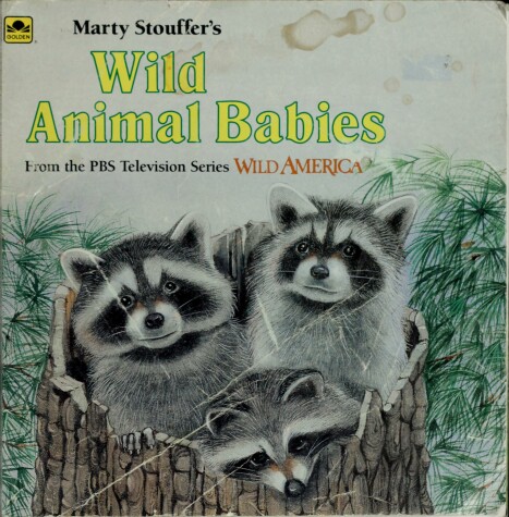 Book cover for Marty Stouffer's Wild Animal Babies
