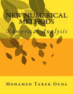 Book cover for New Numerical Methods