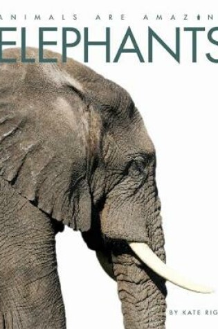 Cover of Elephants