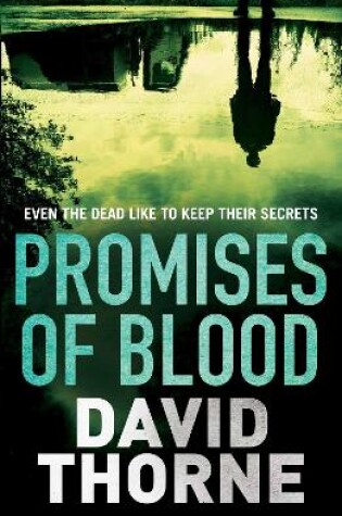 Cover of Promises of Blood