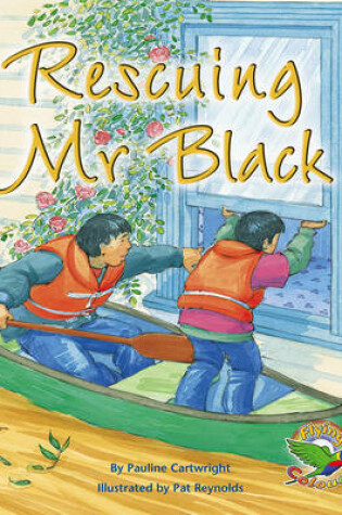 Cover of Rescuing Mr Black