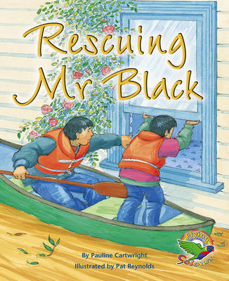 Book cover for Rescuing Mr Black