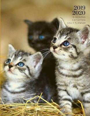 Cover of 2019 2020 15 Months Cat Kitten Daily Planner