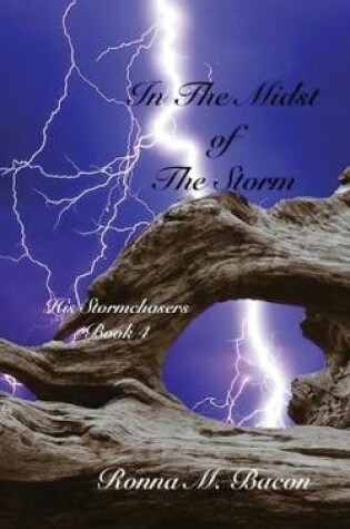 Cover of In The Midst of The Storm