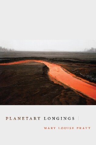 Cover of Planetary Longings