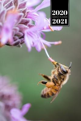 Book cover for Bee Insects Beekeeping Beekeeper Week Planner Weekly Organizer Calendar 2020 / 2021 - Sipping Nectar