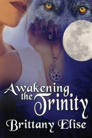 Cover of Awakening the Trinity