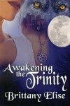 Book cover for Awakening the Trinity