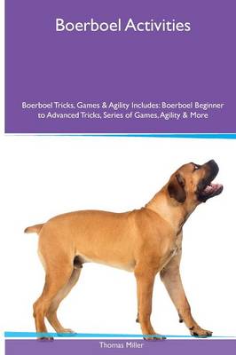 Book cover for Boerboel Activities Boerboel Tricks, Games & Agility. Includes