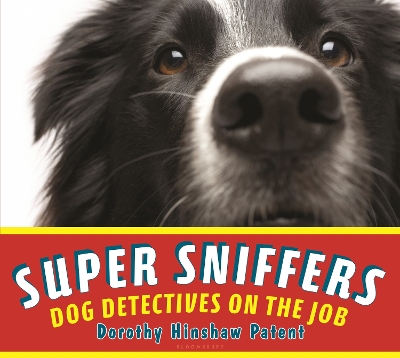 Book cover for Super Sniffers