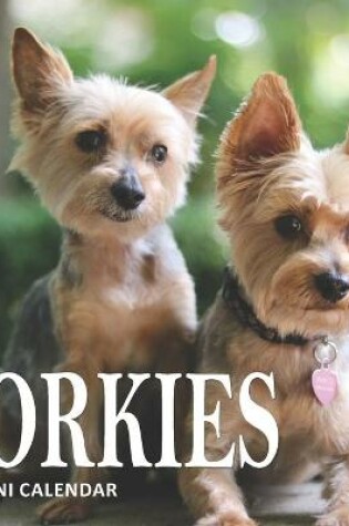 Cover of Yorkies