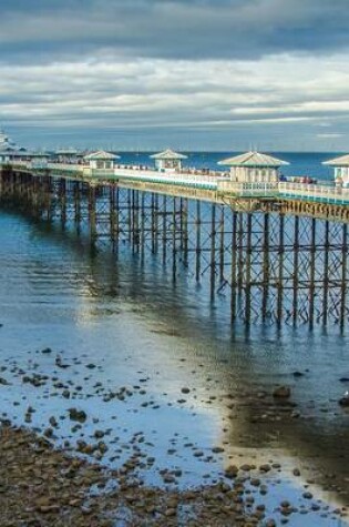 Cover of Low Tide at the Pier in Wales