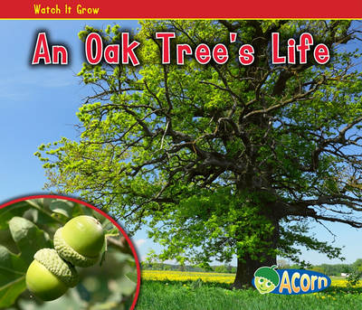 Book cover for An Oak Tree's Life