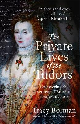 Book cover for The Private Lives of the Tudors