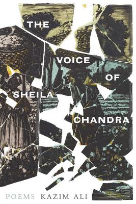 Book cover for The Voice of Sheila Chandra