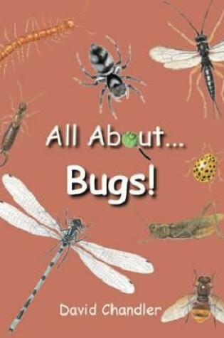 Cover of All About Bugs