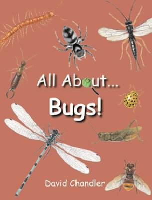 Book cover for All About Bugs