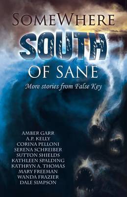 Book cover for Somewhere South of Sane