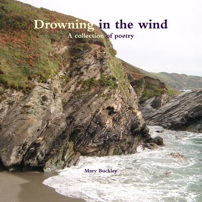 Book cover for Drowning in the Wind