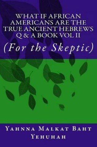 Cover of What If African Americans Are The True Ancient Hebrews Q & A Book Vol II