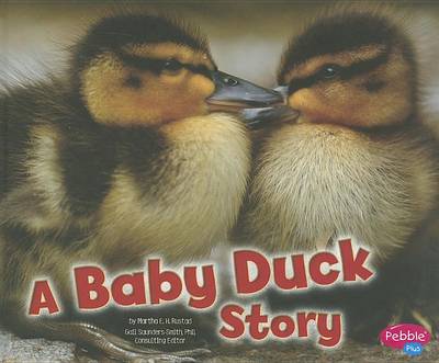 Book cover for A Baby Duck Story