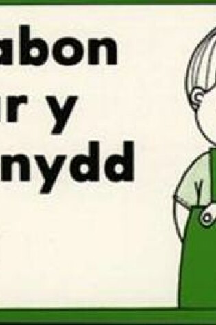 Cover of Cyfres Mabon:9. Mabon ar y Mynydd