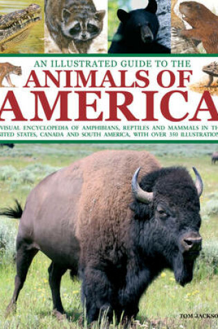 Cover of An Illustrated Guide to the Animals of America