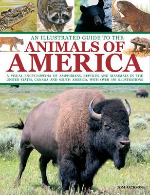 Book cover for An Illustrated Guide to the Animals of America