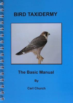 Book cover for Bird Taxidermy