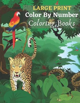 Book cover for Large Print Color By Number Coloring Books