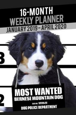 Cover of 2019-2020 Weekly Planner - Most Wanted Bernese Mountain Dog