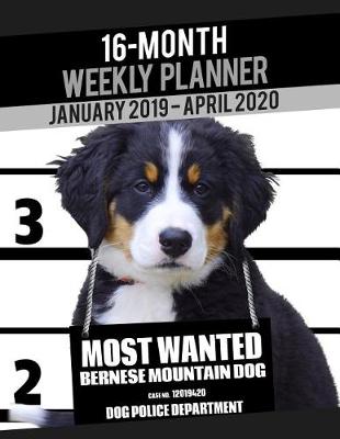 Cover of 2019-2020 Weekly Planner - Most Wanted Bernese Mountain Dog