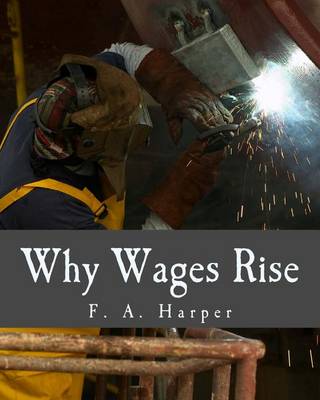 Book cover for Why Wages Rise (Large Print Edition)