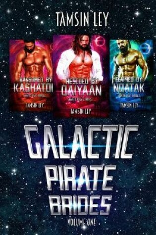 Cover of Galactic Pirate Brides