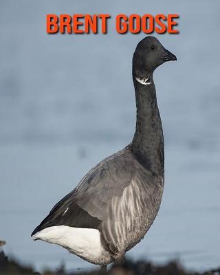 Book cover for Brent Goose