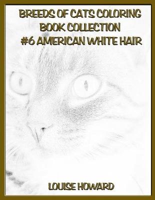 Book cover for Breeds of Cats Coloring Book Collection #6 American Witehair