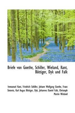 Cover of Briefe Von Goethe, Schiller, Wieland, Kant, Bottiger, Dyk Und Falk