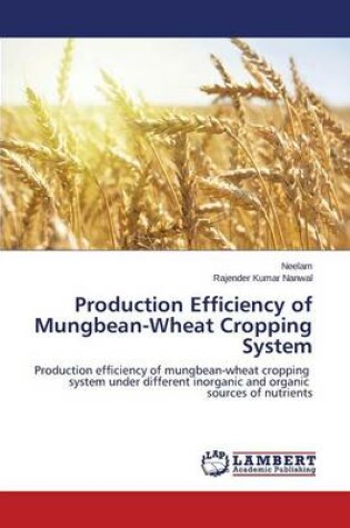 Cover of Production Efficiency of Mungbean-Wheat Cropping System