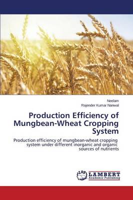 Book cover for Production Efficiency of Mungbean-Wheat Cropping System