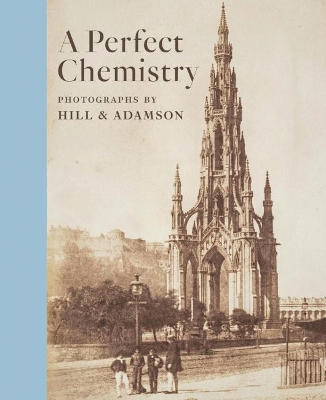 Book cover for Perfect Chemistry