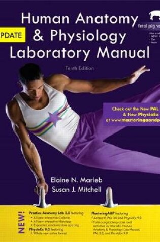 Cover of Human Anatomy & Physiology Laboratory Manual, Fetal Pig Version, Update (2-downloads)