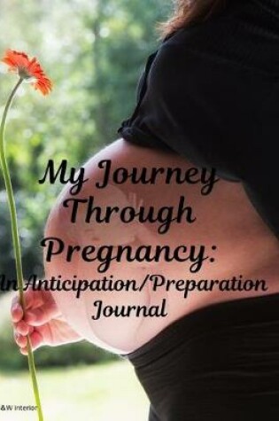 Cover of My Journey Through Pregnancy
