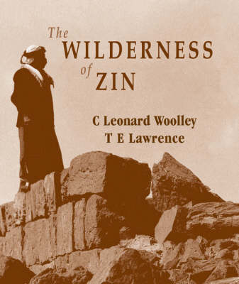 Book cover for The Wilderness of Zin