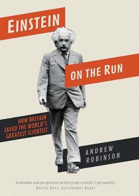 Book cover for Einstein on the Run