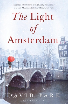 Book cover for The Light of Amsterdam
