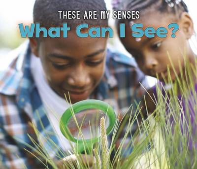 Book cover for What Can I See?