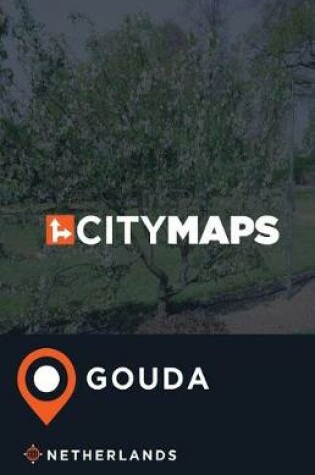 Cover of City Maps Gouda Netherlands