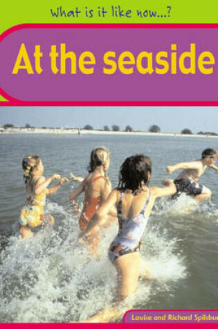 Cover of What Is It Like Now? At The Seaside