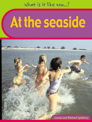 Book cover for What Is It Like Now? At The Seaside