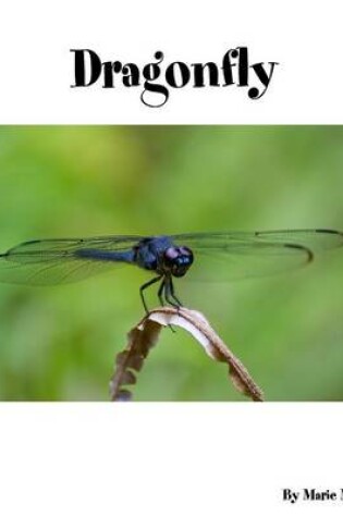 Cover of Dragonfly